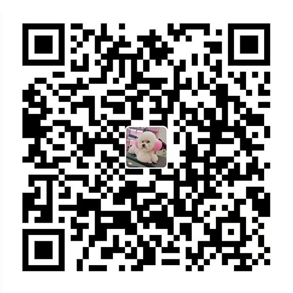 支付宝二维码